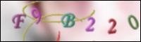 Loading Image